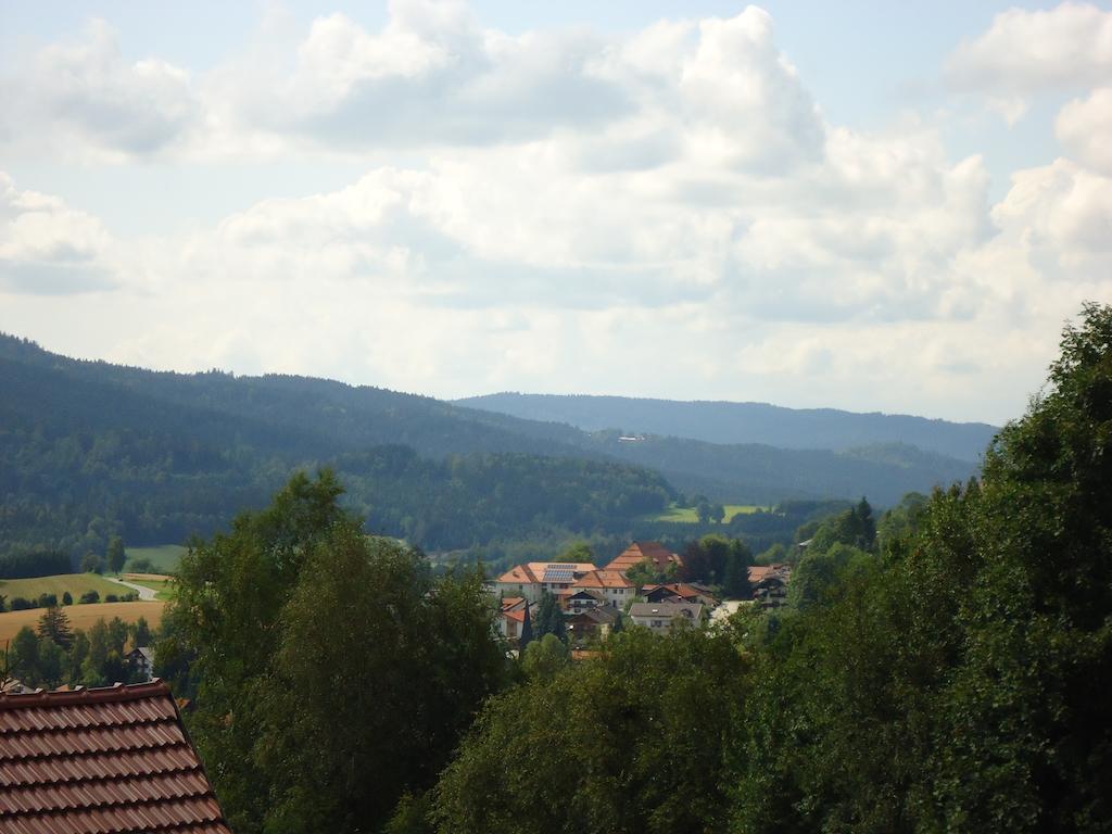 Ferienwohnung Bodenmais Am Silberberg Экстерьер фото